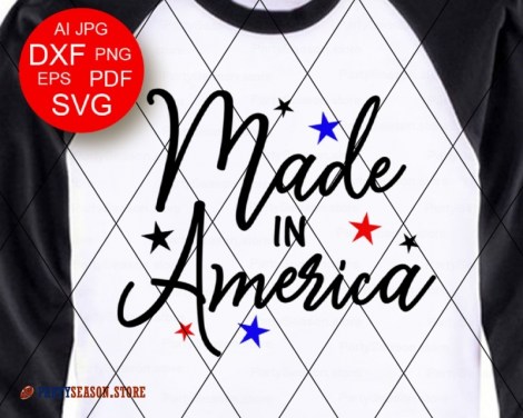 Made in America Party season store 1